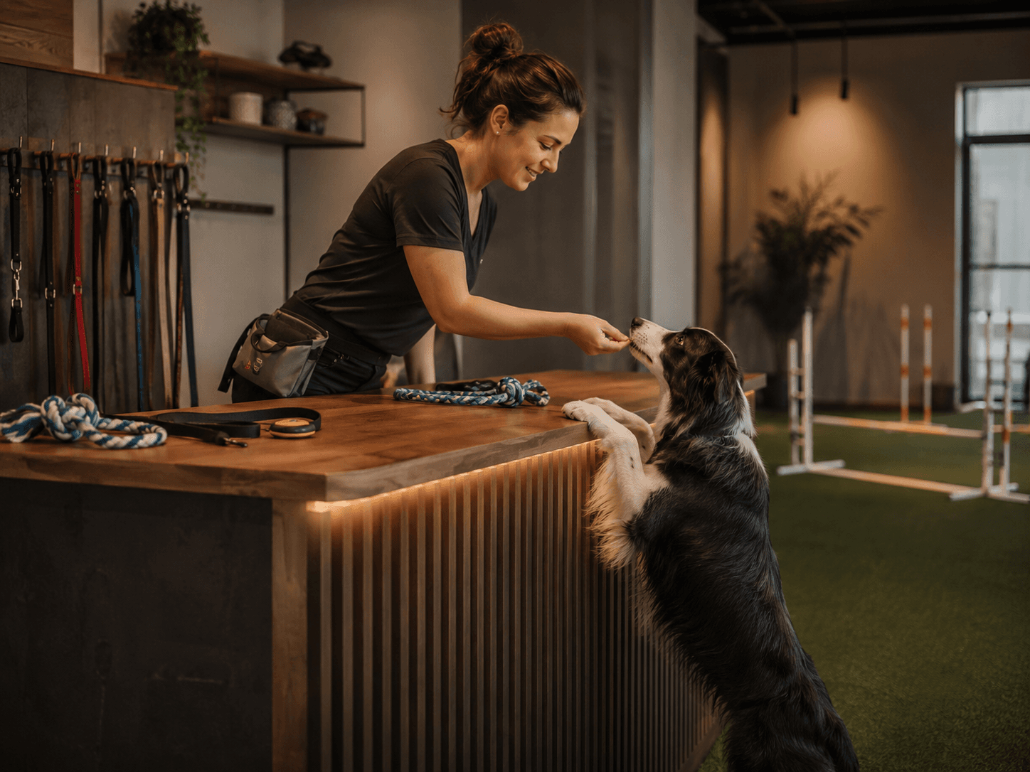 Dog Trainer Desk Hero Business 3.png